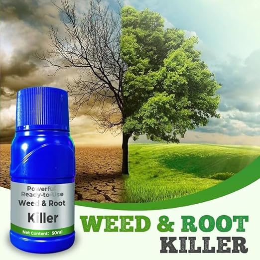 23567